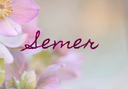 Img-sancy-fleurs-auvergne-notre-philosophie-semer