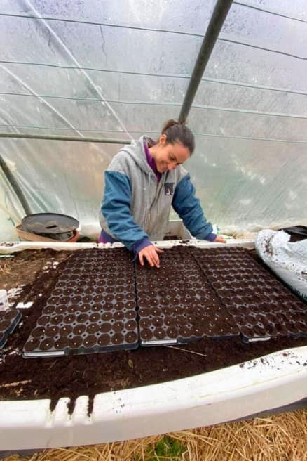 img-ferme-de-chameil-sancy-fleurs-auvergne-preparation-semis-plantes