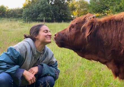 img-ferme-de-chameil-sancy-fleurs-auvergne-vache